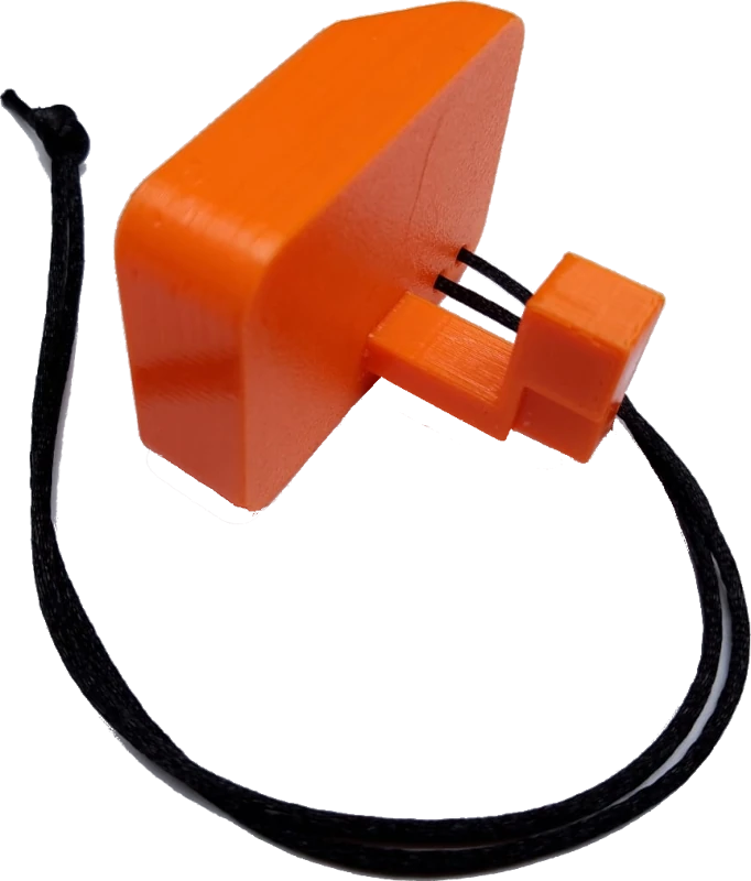 Safety / Switch Key for Worx Lawnmowers (image for) Safety / Switch Key for Worx Lawnmowers
